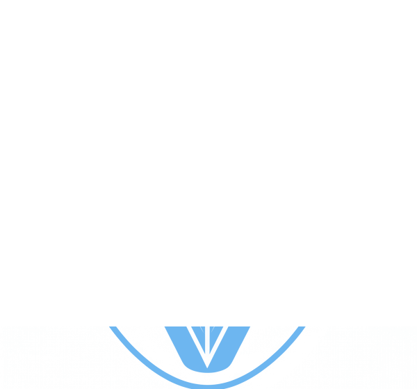 Voical mark